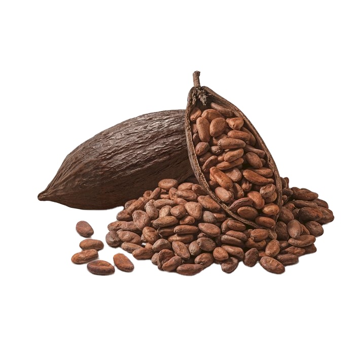 Cocoa Beans For Sale