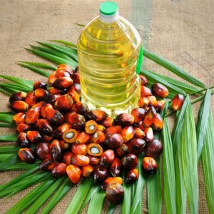 best place to buy Palm Oil For Sale