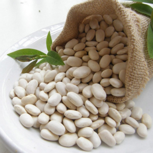 White Kidney Beans For Sale